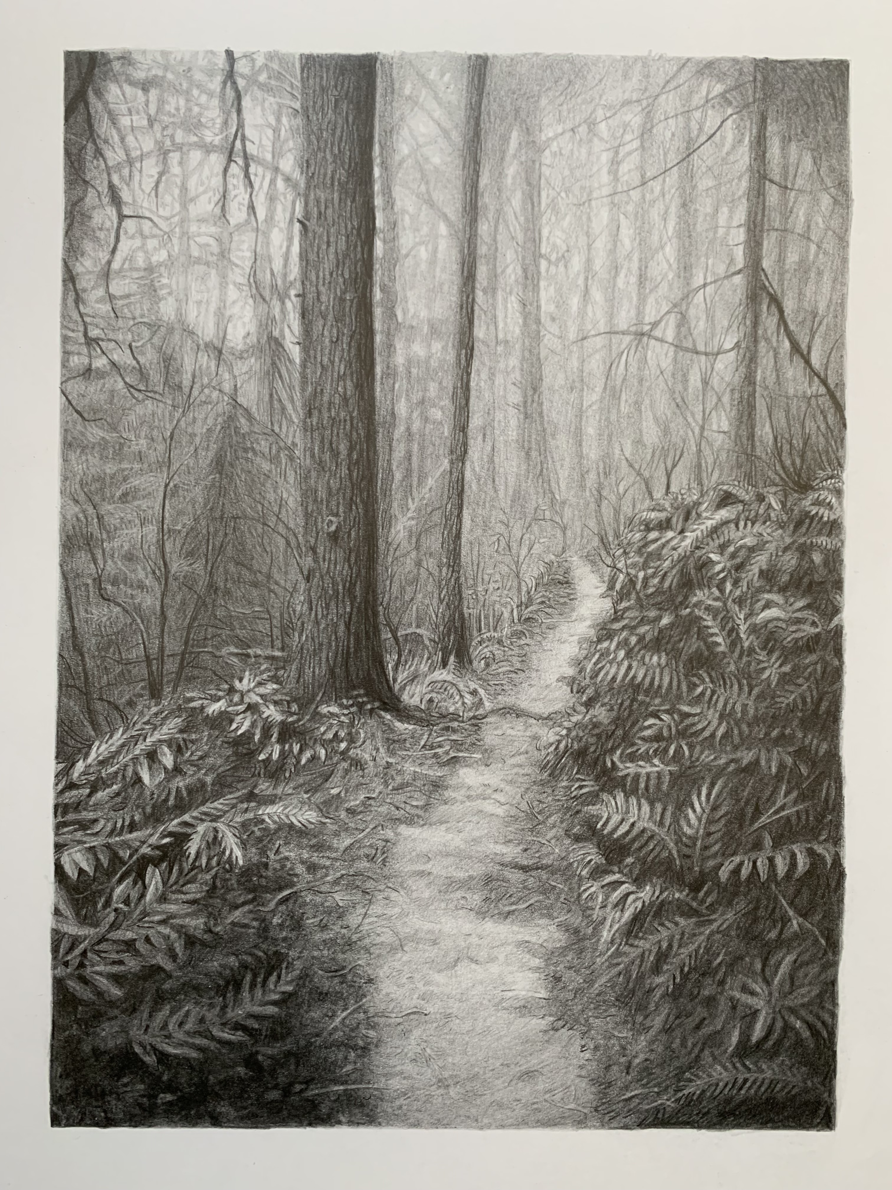path 1