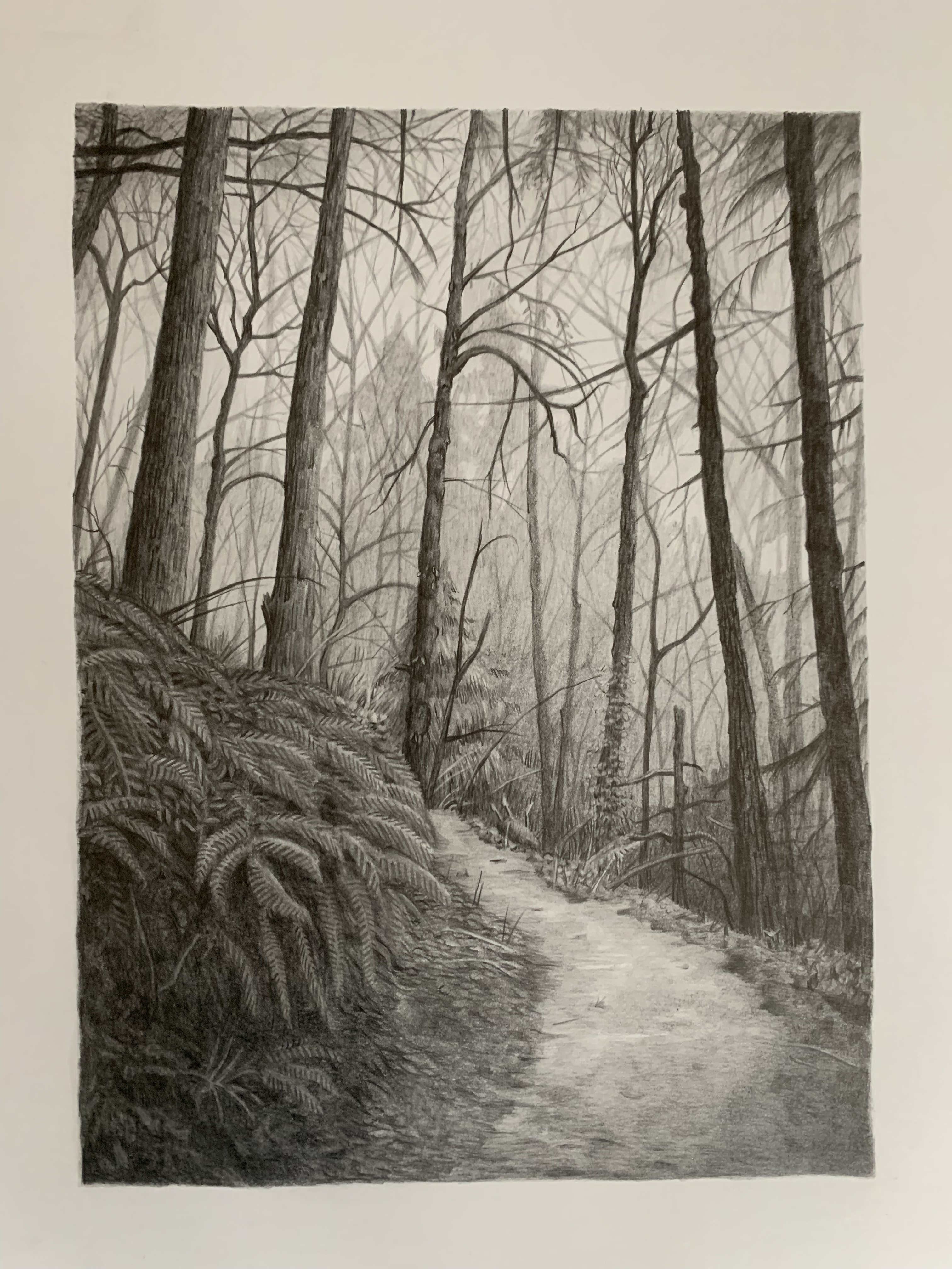 Image 9