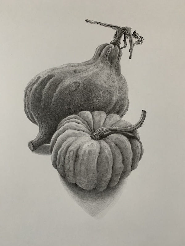 Image 14