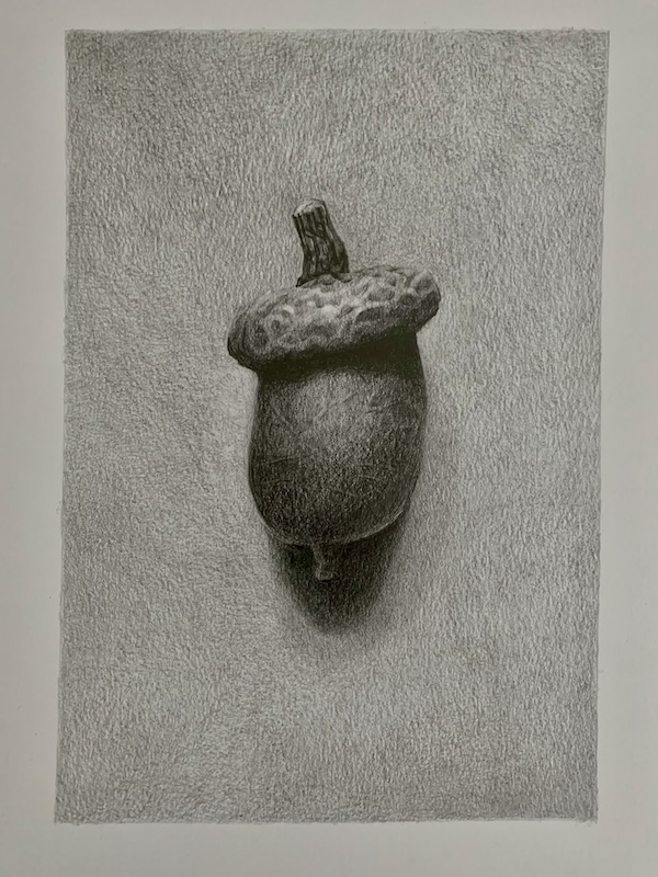 Image 15