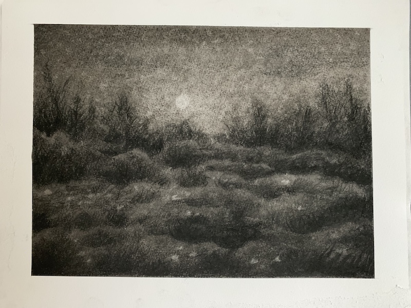 Image 20